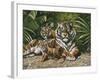 Yellow Tiger with Cubs-unknown Ampel-Framed Art Print