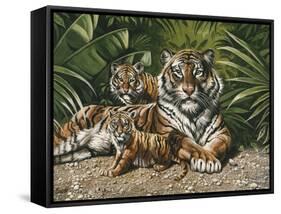 Yellow Tiger with Cubs-unknown Ampel-Framed Stretched Canvas