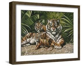 Yellow Tiger with Cubs-unknown Ampel-Framed Art Print