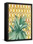 Yellow Tile Agave-Jen Bucheli-Framed Stretched Canvas