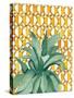 Yellow Tile Agave-Jen Bucheli-Stretched Canvas