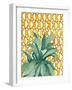 Yellow Tile Agave-Jen Bucheli-Framed Art Print