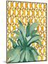 Yellow Tile Agave-Jen Bucheli-Mounted Art Print
