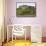 Yellow Tractor and Sheep-Sophie Harding-Framed Stretched Canvas displayed on a wall