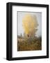 Yellow Tree and Teasel-David Winston-Framed Giclee Print