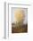 Yellow Tree and Teasel-David Winston-Framed Giclee Print