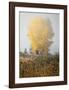 Yellow Tree and Teasel-David Winston-Framed Giclee Print