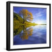 Yellow Tree Reflection-Moises Levy-Framed Photographic Print