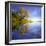 Yellow Tree Reflection-Moises Levy-Framed Photographic Print