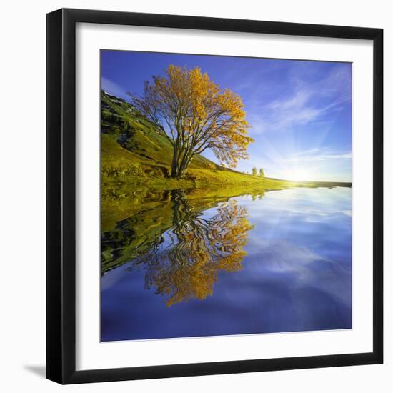 Yellow Tree Reflection-Moises Levy-Framed Photographic Print