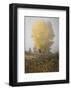 Yellow Tree & Teasel-David Lorenz Winston-Framed Art Print