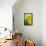 Yellow Tree-Philippe Sainte-Laudy-Framed Stretched Canvas displayed on a wall