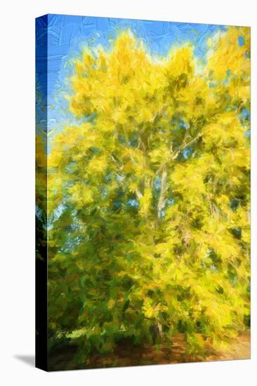 Yellow Tree-Philippe Sainte-Laudy-Stretched Canvas