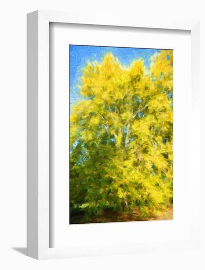 Yellow Tree-Philippe Sainte-Laudy-Framed Photographic Print