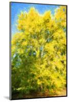 Yellow Tree-Philippe Sainte-Laudy-Mounted Photographic Print