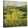 Yellow Trees-Allan P. Friedlander-Stretched Canvas