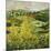 Yellow Trees-Allan P. Friedlander-Mounted Art Print