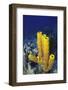 Yellow Tube Sponge-Hal Beral-Framed Photographic Print