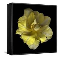 Yellow Tulip-Magda Indigo-Framed Stretched Canvas