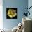 Yellow Tulip-Magda Indigo-Photographic Print displayed on a wall