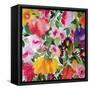 Yellow Tulip-Kim Parker-Framed Stretched Canvas