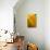 Yellow Tulip-Steve Gadomski-Photographic Print displayed on a wall