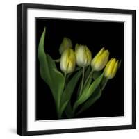 Yellow Tulips 3-Magda Indigo-Framed Photographic Print