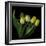 Yellow Tulips 3-Magda Indigo-Framed Photographic Print