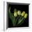 Yellow Tulips 3-Magda Indigo-Framed Photographic Print