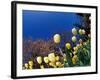 Yellow Tulips, Cincinnati, Ohio, USA-Adam Jones-Framed Photographic Print