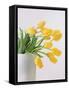 Yellow Tulips I, 1999-Norman Hollands-Framed Stretched Canvas