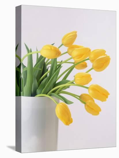 Yellow Tulips I, 1999-Norman Hollands-Stretched Canvas