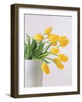 Yellow Tulips I, 1999-Norman Hollands-Framed Photographic Print