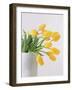 Yellow Tulips I, 1999-Norman Hollands-Framed Photographic Print