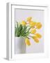 Yellow Tulips I, 1999-Norman Hollands-Framed Photographic Print