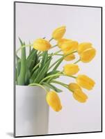 Yellow Tulips I, 1999-Norman Hollands-Mounted Photographic Print