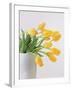 Yellow Tulips I, 1999-Norman Hollands-Framed Photographic Print