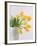 Yellow Tulips I, 1999-Norman Hollands-Framed Photographic Print