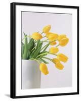 Yellow Tulips I, 1999-Norman Hollands-Framed Photographic Print
