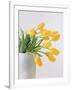 Yellow Tulips I, 1999-Norman Hollands-Framed Photographic Print