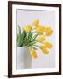 Yellow Tulips I, 1999-Norman Hollands-Framed Photographic Print