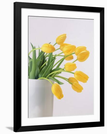 Yellow Tulips I, 1999-Norman Hollands-Framed Photographic Print