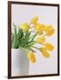 Yellow Tulips I, 1999-Norman Hollands-Framed Photographic Print