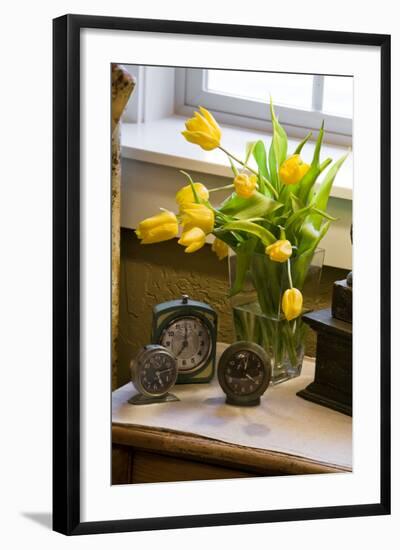 Yellow Tulips I-Philip Clayton-thompson-Framed Photographic Print