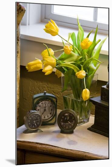 Yellow Tulips I-Philip Clayton-thompson-Mounted Photographic Print