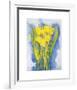 Yellow Tulips-Witka Kova-Framed Art Print