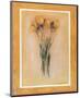 Yellow Tulips-Lewman Zaid-Mounted Art Print