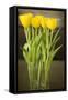 Yellow Tulips-Karyn Millet-Framed Stretched Canvas