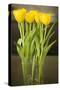 Yellow Tulips-Karyn Millet-Stretched Canvas