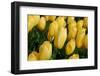 Yellow Tulips-nphotographer-Framed Photographic Print